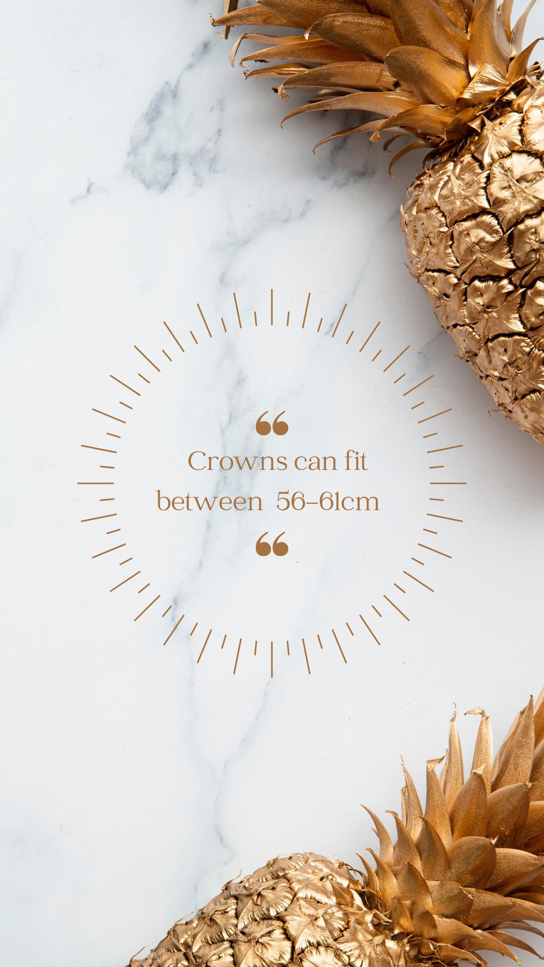 White & Blue Feather Crown, Headdress, Headpiece, Headband